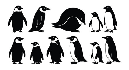 Obraz premium A collection of black and white penguin silhouettes in various poses
