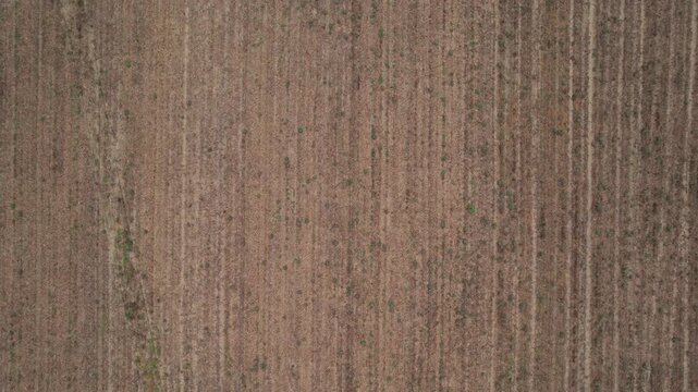 Slow aerial reveal identifies the dark, saturated furrows of a plowed field in the Po Valley, where a week of heavy rain has transformed the silty clay substrate into a waterlogged mosaic PC Italy