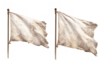 Dirty white flags waving on flagpoles, symbolizing surrender, peace, truce, defeat, or a ceasefire moment