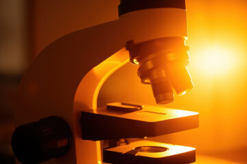 Scientific Research, Detailed Microscope Image