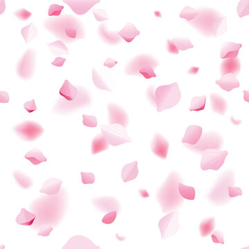 Aesthetic cherry blossom petal fall for japanese spring theme vector