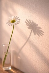 A single white daisy flower in a glass vase casting a beautiful long shadow on a warm beige textured wall. Elegant minimalist composition with soft morning sunlight, creating a calm and peaceful atmos