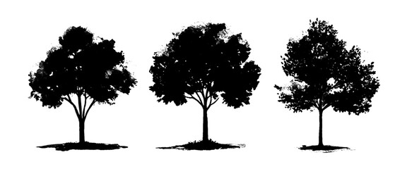 Vector White And Black Minimal Nature Tree Assets Isolated on White