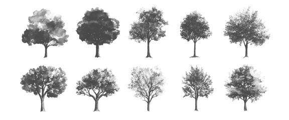 Vector Modern Landscape Tree Icons Collection on White Background