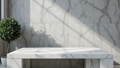 White Marble Table with Soft Bush Shadows on Concrete Wall Texture for Product Presentation Backdrops