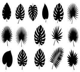 A collection of diverse tropical leaves in black and white showcasing various shapes and intricate details © arfanah02