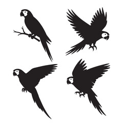 Obraz premium Four black and white silhouettes of parrots in different flying positions on a plain white background