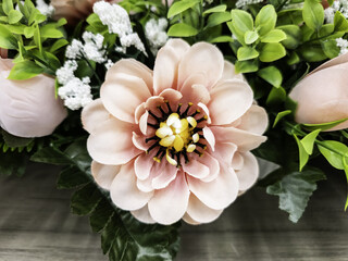 Colorful flowers in nature