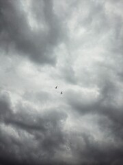 Fototapeta premium storm clouds timelapse