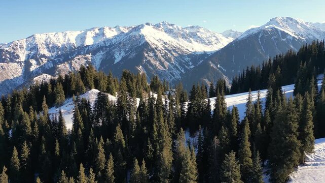 Drone footage flying over a snowy mountain landscape. The hillsides are covered in pristine pine forest, with a majestic snow-capped mountain range visible in the background