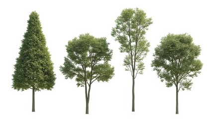 Obraz premium Trees Isolated on White Diverse Green Trees, Cutout, PNG for Design