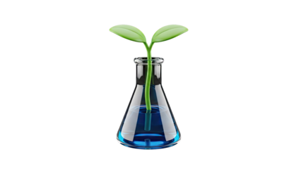 Sprout in Laboratory Flask