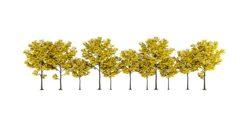 Row of Eight Deciduous Trees with Yellow Autumn Foliage on White Background
