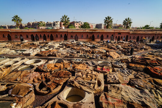 Traditionelle Gerberei in der Medina von Marrakesch: Arbeiter verarbeiten Tierh&auml;ute in gro&szlig;en, runden Gruben und Becken nach jahrhundertealter Handwerkstradition. 