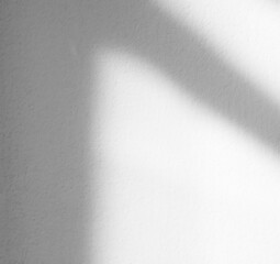 Obraz premium Background shadow white light wall floor backdrop overlay leaf mockup summer sunight overlay nature on room cement abstract blur muckup effect grey minimal platform for presentation product