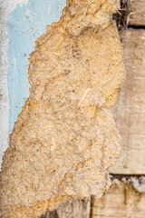 Close up of peeling cracked paint on an old weathered wooden surface, showing texture, decay, and natural aging details. Perfect for backgrounds, overlays, and rustic grunge design elements.