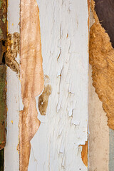 Close up of peeling cracked paint on an old weathered wooden surface, showing texture, decay, and natural aging details. Perfect for backgrounds, overlays, and rustic grunge design elements.
