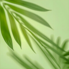Green Leaf Shadow Background