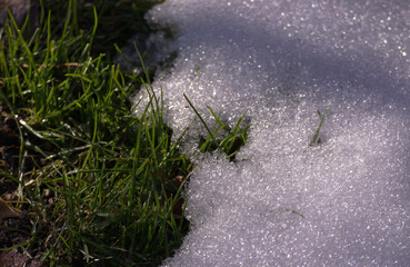 green lawn grass and white snow