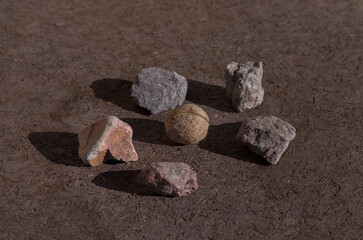 A walnut lies in a circle of stones