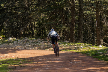 Fototapeta premium A cyclist riding a bicycle in the forest