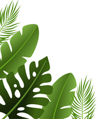 Tropical green leaves corner design