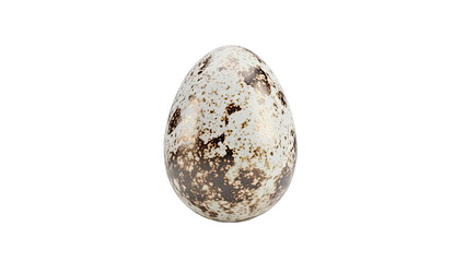 Speckled Bird Egg with Brown and Gold Markings