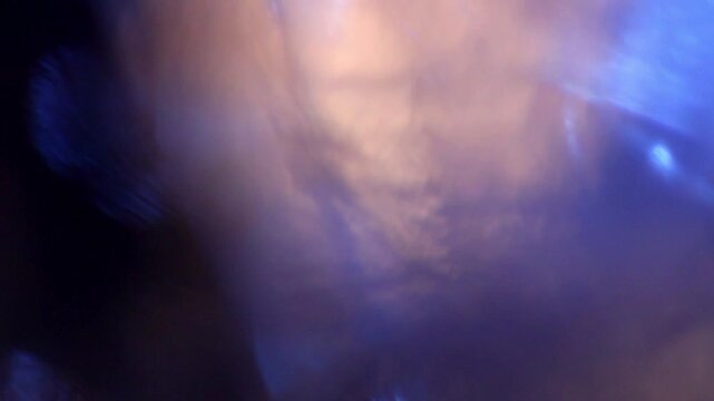 Vintage Film Light Leak Transition