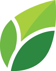 Modern stylized vibrant green leaf graphic design isolated on a clean white background representing nature and organic growth concepts perfectly.