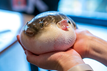 close up of a woman holding a fish