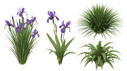 Naklejka premium Iris Flowers and Green Bushes Set, Isolated on White, Spring Floral Elements