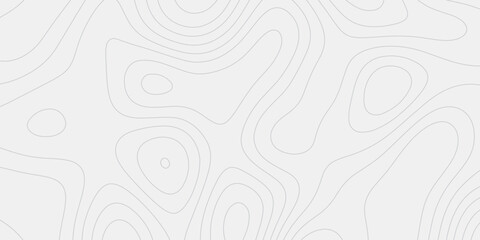 Smooth organic contour lines forming a calm abstract texture.
A clean and contemporary aesthetic ideal for professional designs.