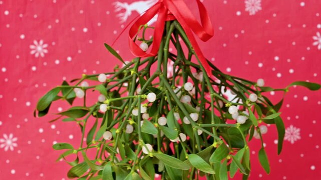 Christmas video of mistletoe branches