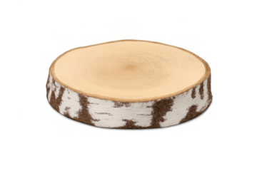 Birch wood slice showing tree rings and textured bark, natural timber circle, cross-section with transparent background
