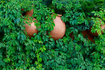 art work style decoration design concept of pottery hand craft object hanging on a wall with green curly plant background simple space