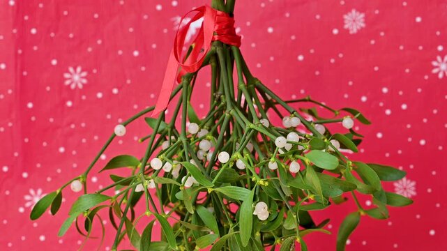 Christmas video of mistletoe branches