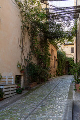 Fototapeta premium the village of Spello in Umbria 