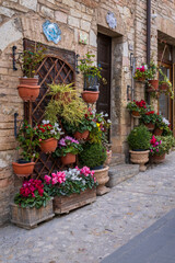 Fototapeta premium the village of Spello in Umbria 