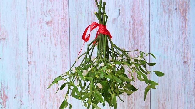 Christmas video of mistletoe branches