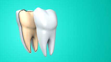 Tooth with Bacteria Germs Explaining Dental Hygiene and Oral Health
