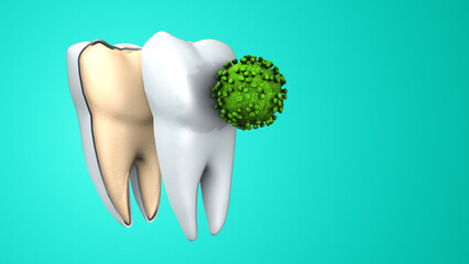 Tooth with Bacteria Germs Explaining Dental Hygiene and Oral Health
