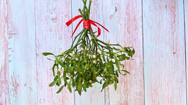 Christmas video of mistletoe branches
