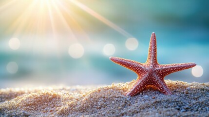 Starfish resting on golden sand with sunlight