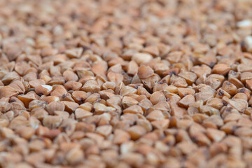 Obraz premium Industrial style image of buckwheat kernels, Detailed macro photography showcasing uniformity and structural features of buckwheat kernels for packaging and market display