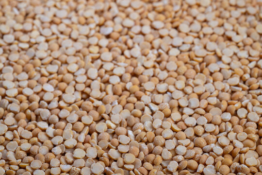 Bulk yellow peas for trade, Wholesale yellow split peas intended for food production, Industrial quantity of yellow split peas prepared for commercial and industrial use