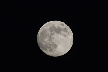 Obraz premium The January 2026 full Wolf Moon as seen from Hertford Heath, UK.