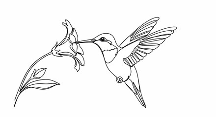 Hummingbird Feeding on Flower © Design Board