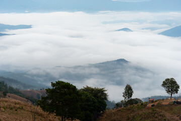 Morning sunlight mountain views and fog.