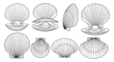 A detailed illustration of various scallop shell shapes and designs