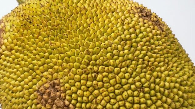 A vibrant close-up shot of a large, exotic tropical fruit, revealing its distinctive green and yellow spiky, bumpy skin texture. The detailed surface features a fascinating natural pattern, with sligh